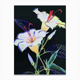 Neon Flowers On Black Moonflower 1 Canvas Print