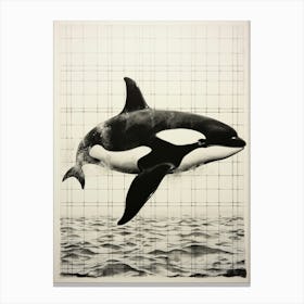 Black Ink Drawing Orca Whale Canvas Print