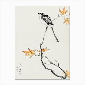Japanese Long-tailed Tit and Maple Tree illustration. Canvas Print