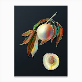 Vintage Peach Botanical Watercolor Illustration on Dark Teal Blue n.0945 Canvas Print