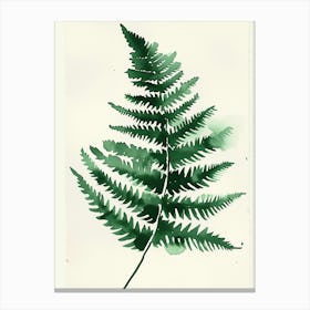 Green Ink Painting Of A Autumn Fern 1 Canvas Print