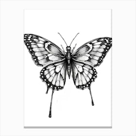 Butterfly Drawing 1 Canvas Print