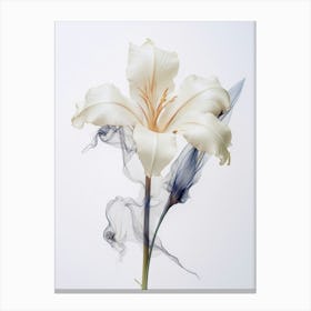 Pressed Flower Botanical Art Lily 2 Canvas Print
