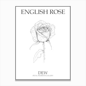 English Rose Dew Line Drawing 1 Poster Canvas Print