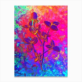 Pink Clover Botanical in Acid Neon Pink Green and Blue Canvas Print