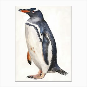 Humboldt Penguin Oamaru Blue Penguin Colony Watercolour Painting 2 Canvas Print