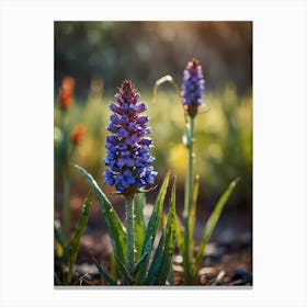 Hyacinth Canvas Print