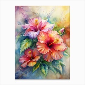 1 Vibrant Hibiscus Flowers In Full Bloom (1) Canvas Print