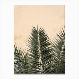 Palm Leaves_2103211 Canvas Print