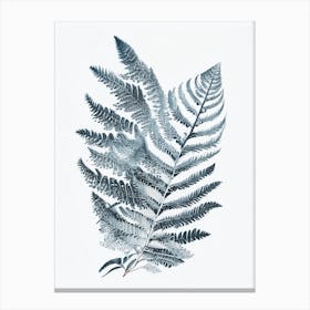 Silver Lace Fern 1 Watercolour Canvas Print