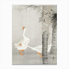 Tame Geese In Rain (1900 1936), Ohara Koson Canvas Print