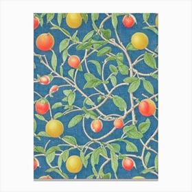 Citrus tree Vintage Botanical Canvas Print