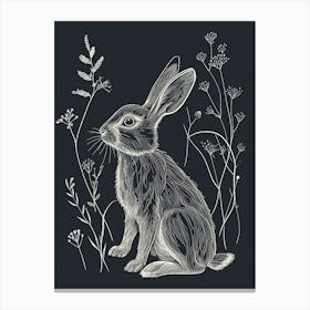 Argente Rabbit Minimalist Illustration 1 Canvas Print