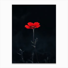 Single Red Flower 4 Canvas Print