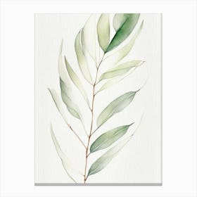 White Willow Leaf Minimalist Watercolour 5 Canvas Print