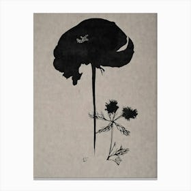 Black Poppy Canvas Print