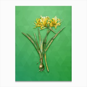 Vintage Golden Hurricane Lily Botanical Art on Classic Green Canvas Print
