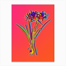 Neon Golden Hurricane Lily Botanical in Hot Pink and Electric Blue n.0253 Canvas Print