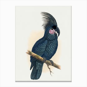 Parrot On A Branch 3 Canvas Print