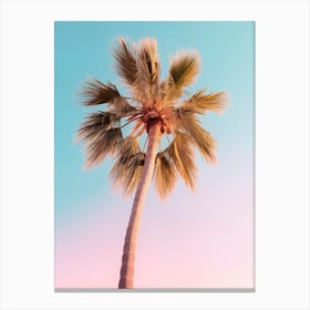 California Dreaming - The Pastel Palm Canvas Print