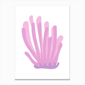 Pink Seaweed Canvas Print