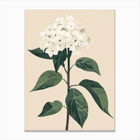 Hydrangea 14 Canvas Print