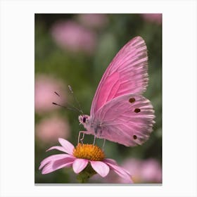 Pink Butterfly 1 Canvas Print