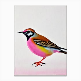 Lark Watercolour Bird Canvas Print