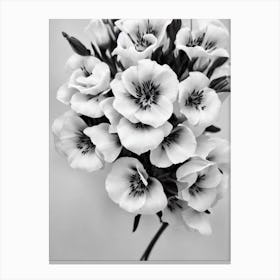 Lisianthus B&W Pencil 1 Flower Canvas Print