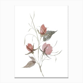 Pink Roses Canvas Print