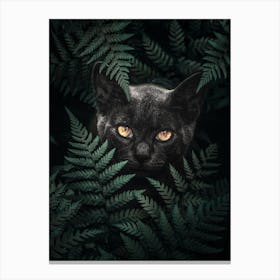 Black Cat In Ferns Canvas Print