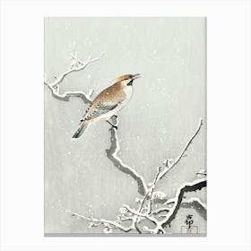 Bohemian Bird On Snowy Branch (1900 1930), Ohara Koson Canvas Print