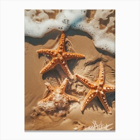 Starfish On The Beach 14 Canvas Print