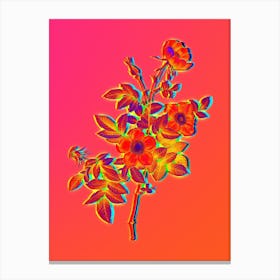 Neon Alpine Rose Botanical in Hot Pink and Electric Blue n.0283 Canvas Print