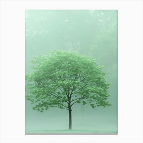 Tree In The Fog 2 Canvas Print