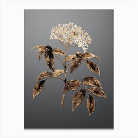Gold Botanical Elderberry Flowering Plant on Soft Gray n.3805 Canvas Print