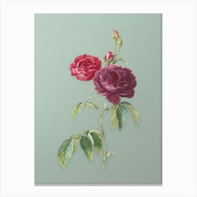 Vintage Purple Roses Botanical Art on Mint Green n.0052 Canvas Print