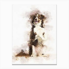 Border Collie Dog 2 Canvas Print