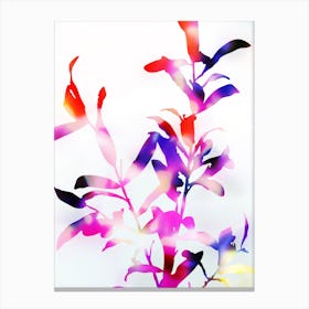 Florescence Viola Canvas Print
