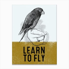 Learn To Fly Canvas Print