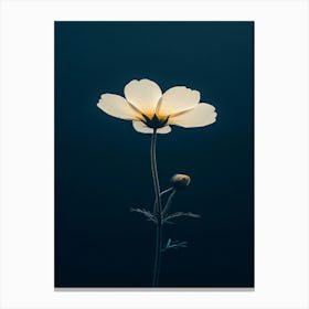 Single White Flower 1 Canvas Print