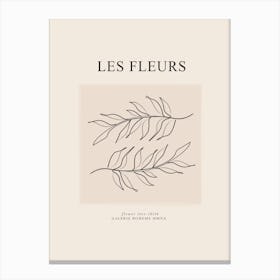 Les Fleurs Canvas Print