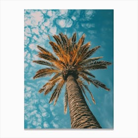 Palm Tree Against Blue Sky 1 Canvas Print