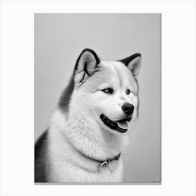 Akita 2 B&W Pencil dog Canvas Print