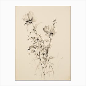 Flower Botanical Sketch Canvas Print