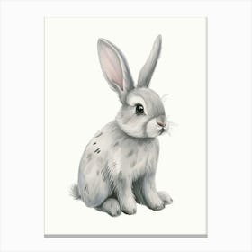 English Silver Rabbit Kids Illustration 1 Canvas Print