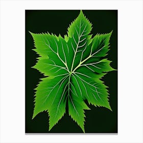 Nettle Leaf Vibrant Inspired 2 Canvas Print