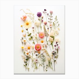 Pressed Flower Botanical Art Wildflowers 10 Canvas Print