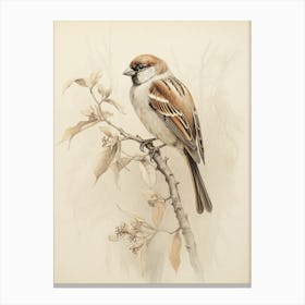 Vintage Bird Drawing Sparrow 2 Canvas Print