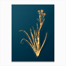 Vintage Bermudiana Botanical in Gold on Teal Blue Canvas Print